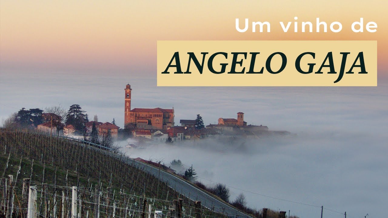 Um vinho de Angelo Gaja