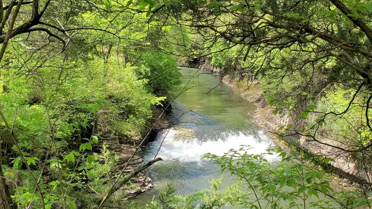 Illinois Hike: Kankakee River State Park in Spring #2