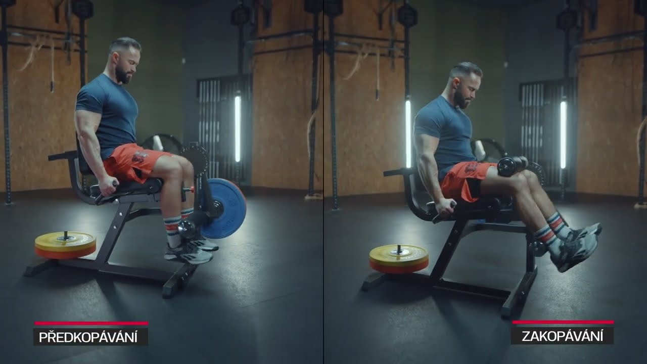 Stroj na nohy TRINFIT Leg Curl-Extension Pro