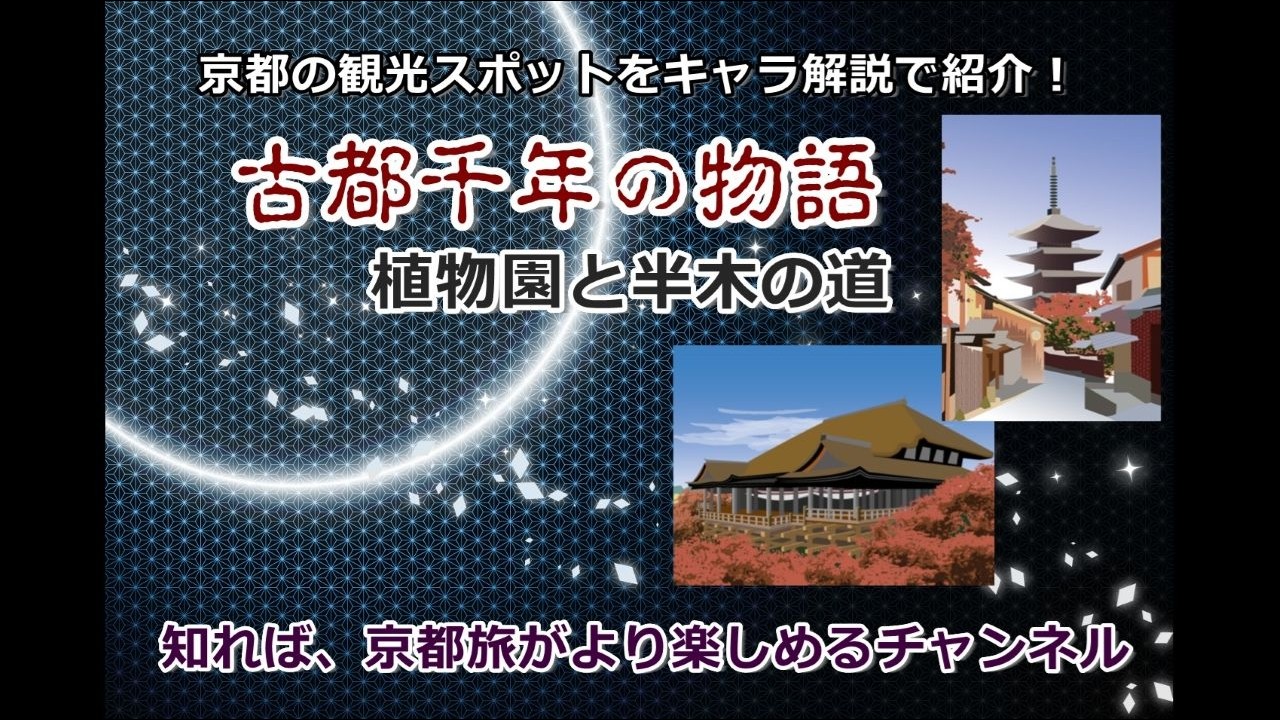 京都の観光名所を紹介「植物園と半木の道」花と緑に包まれる、京の憩いの庭。🌸2026年京桜の開花予想は3/23頃です