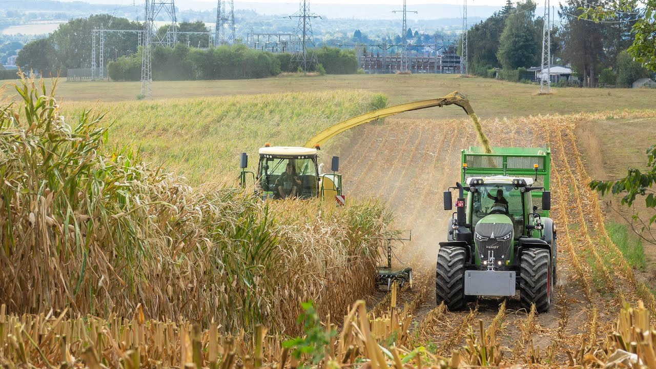 Mais Silage 2022 | Krone BiG X 630 | 4x Fendt 930 | X Schoonbroodt