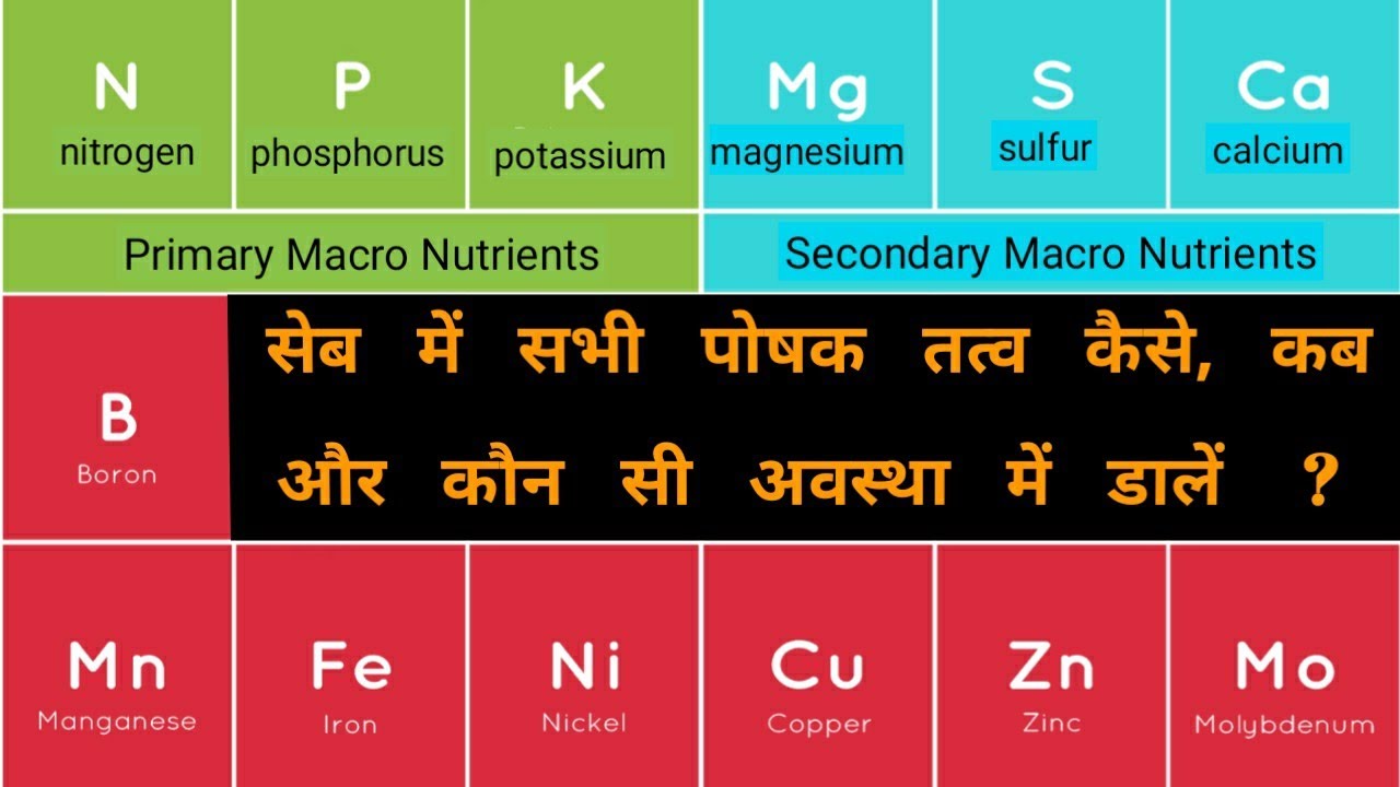 सेब में पोषक तत्वों की भूमिका | Role of Nutrients in plants | Himalayan Farming