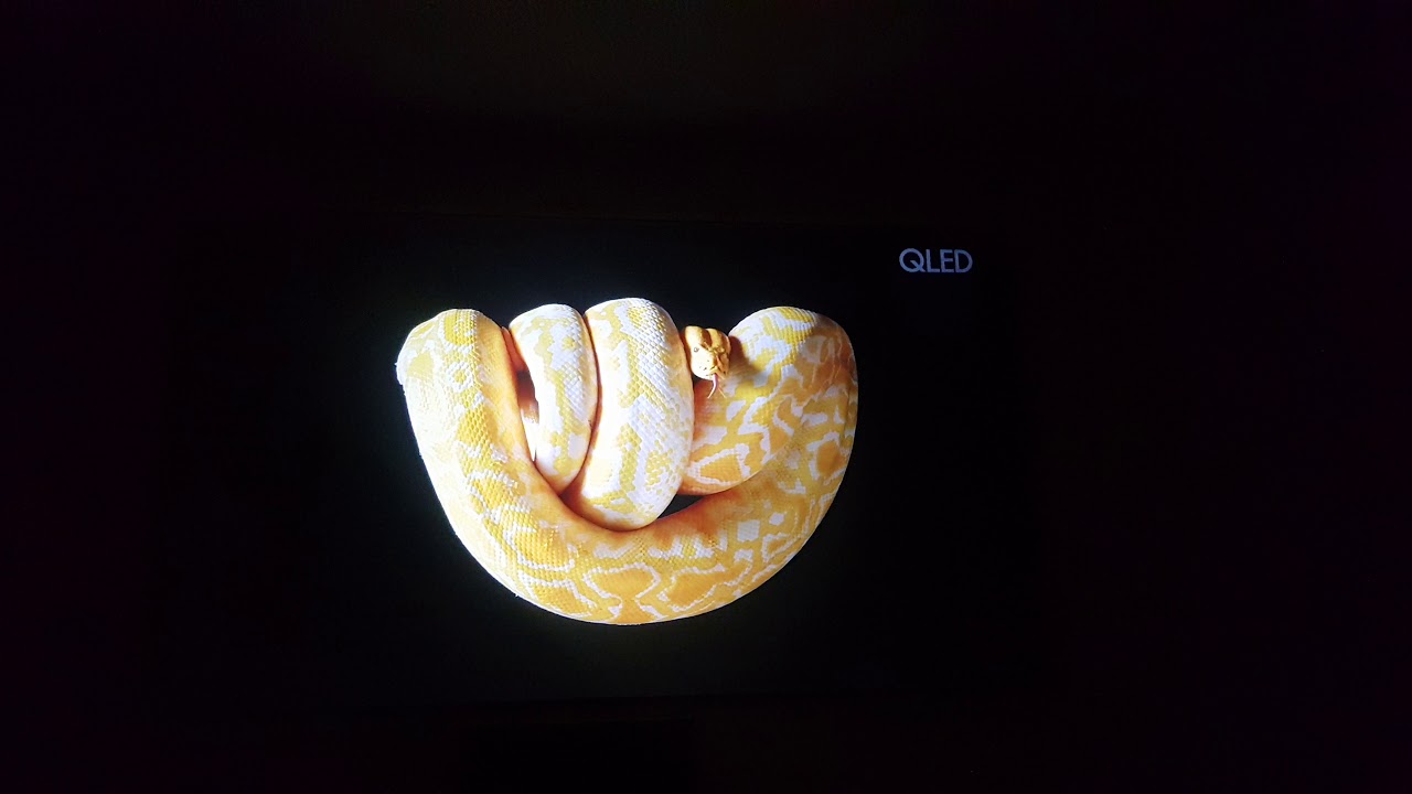 Elite Screens Cinegrey 5D Leinwand