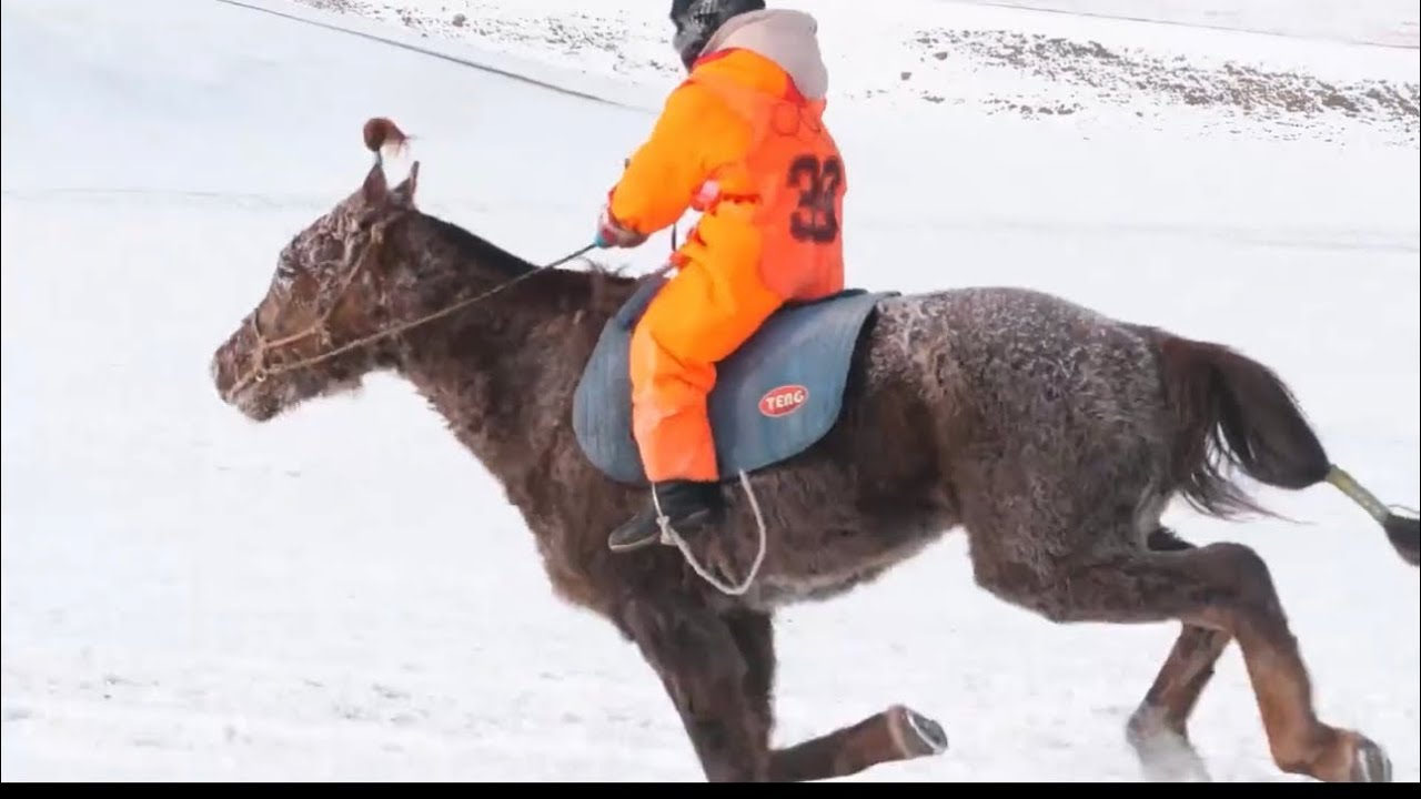 Nomads&rsquo; Winter Life with Horses