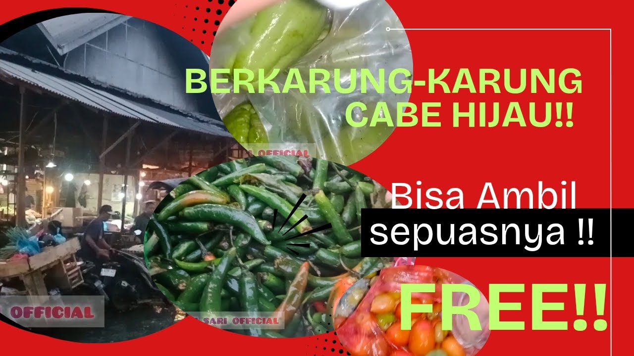 Mulung berkarung karung cabe hijau dan sayur lainnya di pasar induk caringin bandung