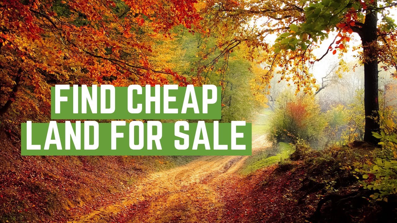 How You Can Find CHEAP LAND For Sale