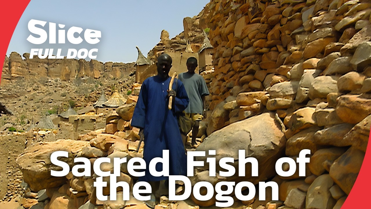 Dogon Ritual: The Sacred Fishing of Entongo Pond | FULL DOCUMENTARY