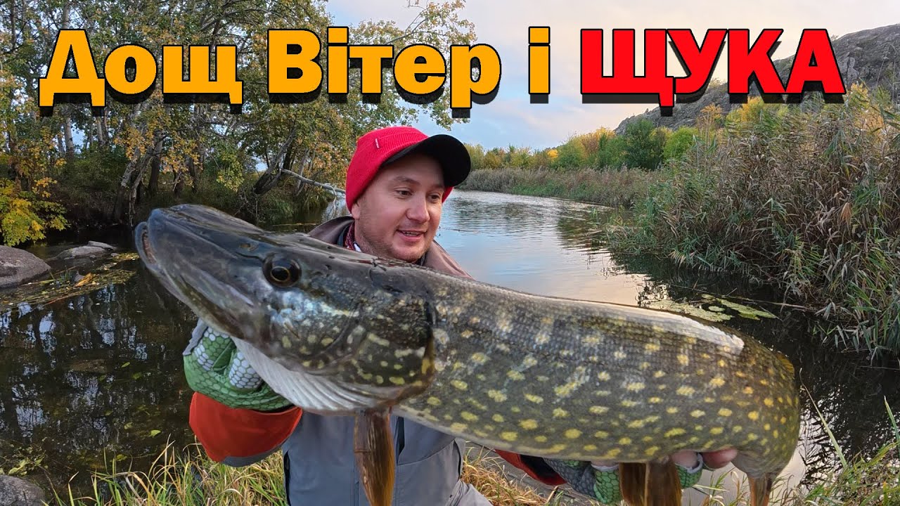 Монтаж на офсеті ЩУКА !! ЩУКА !! ЩУКА !! Рибалка в жовтні