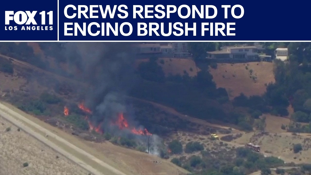 Brush fire erupts in Encino