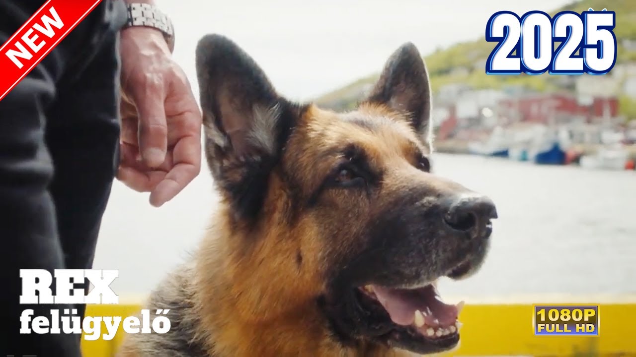 [New] REX Felügyelő S 09 🐕‍🦺🐕‍🦺🐕‍🦺 Over Ice 🐕‍🦺🐕‍🦺🐕‍🦺 legjobb krimi sorozat 2025 teljes HD-ben