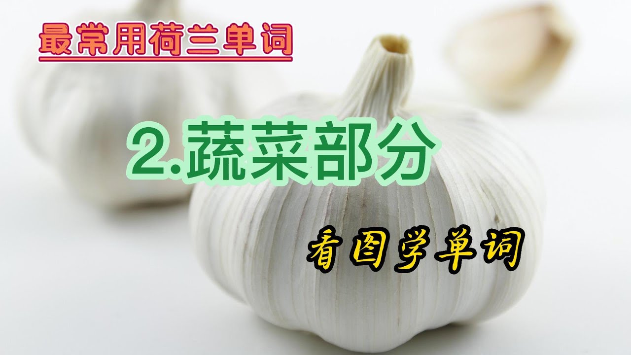 最常用荷兰语单词，蔬菜部分，看图学单词。