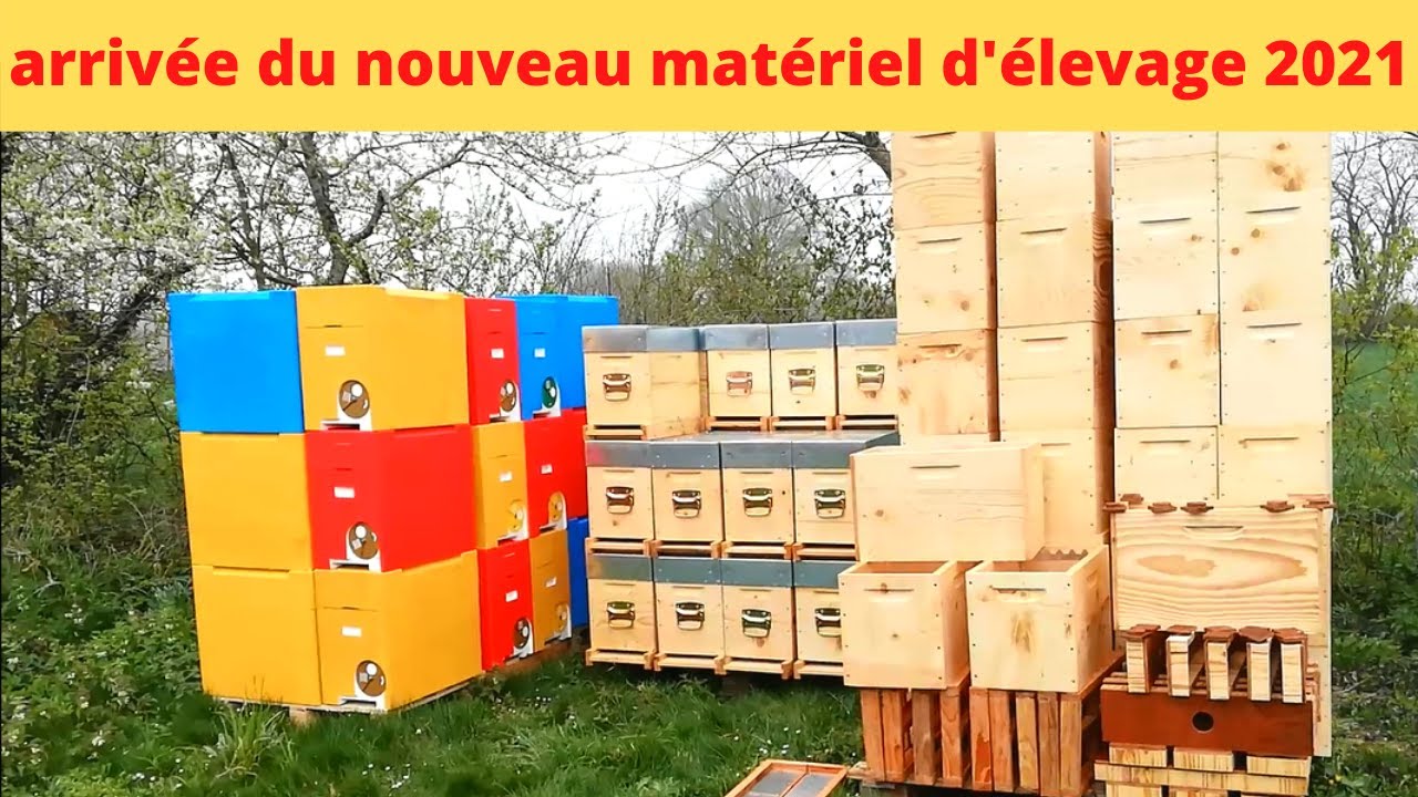 préparation du matériel d'élevage