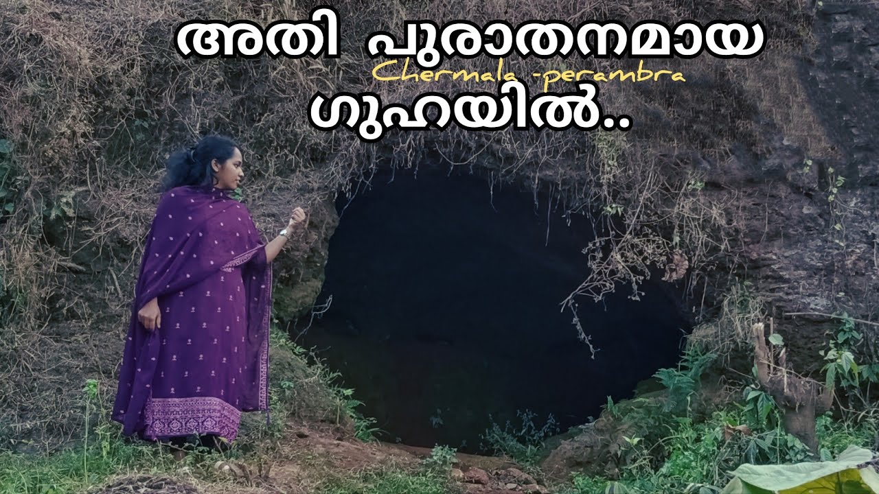 ചേർമലയിലെ നരിമട /chermala kozhikode /perambra /trending video /caves../beautiful place /kerala