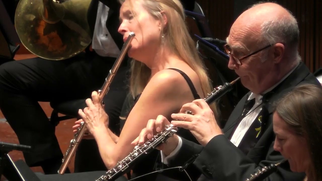 BEETHOVEN Violin Concerto | Fedor Rudin, BSO & Kirill Karabits
