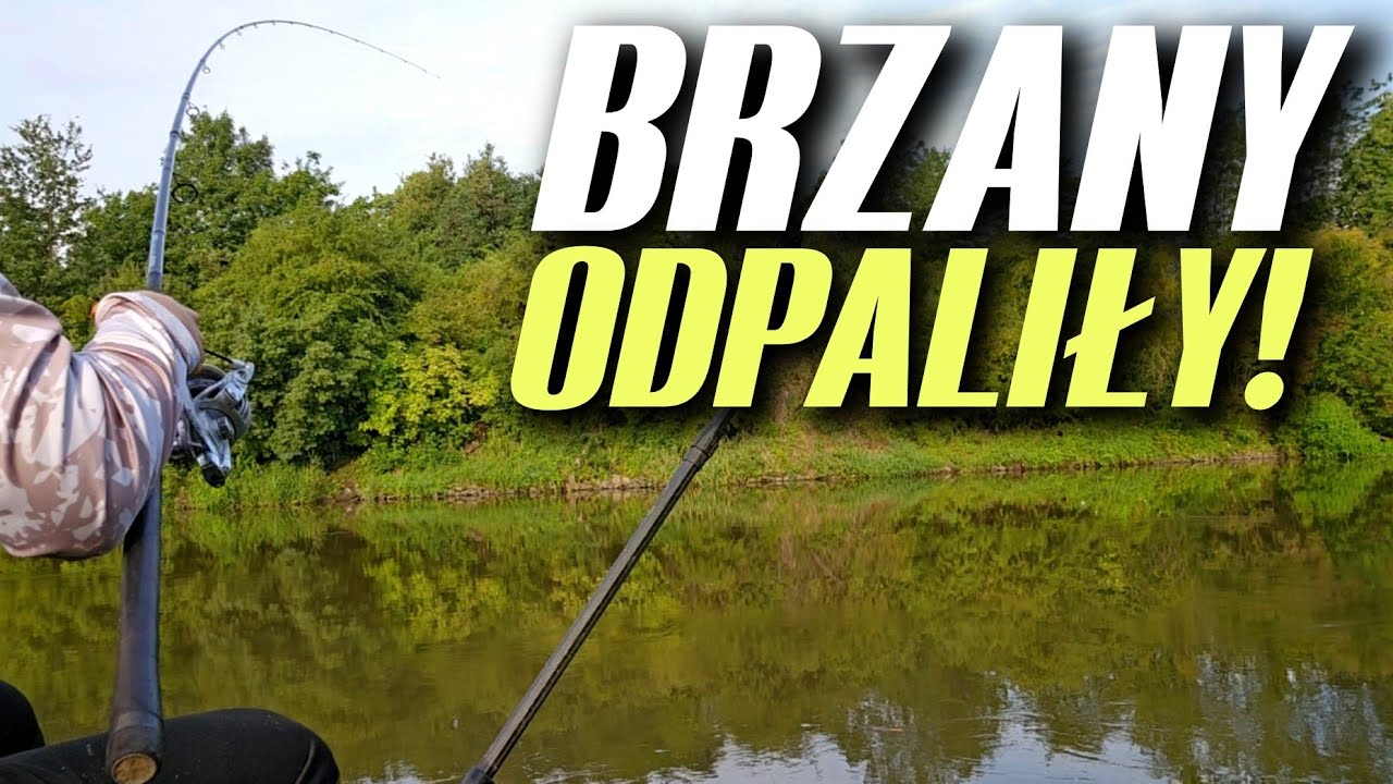 510 BRZANY ODPALIŁY! MOJA SZKOŁA CIĘŻKIEGO FEEDERA!