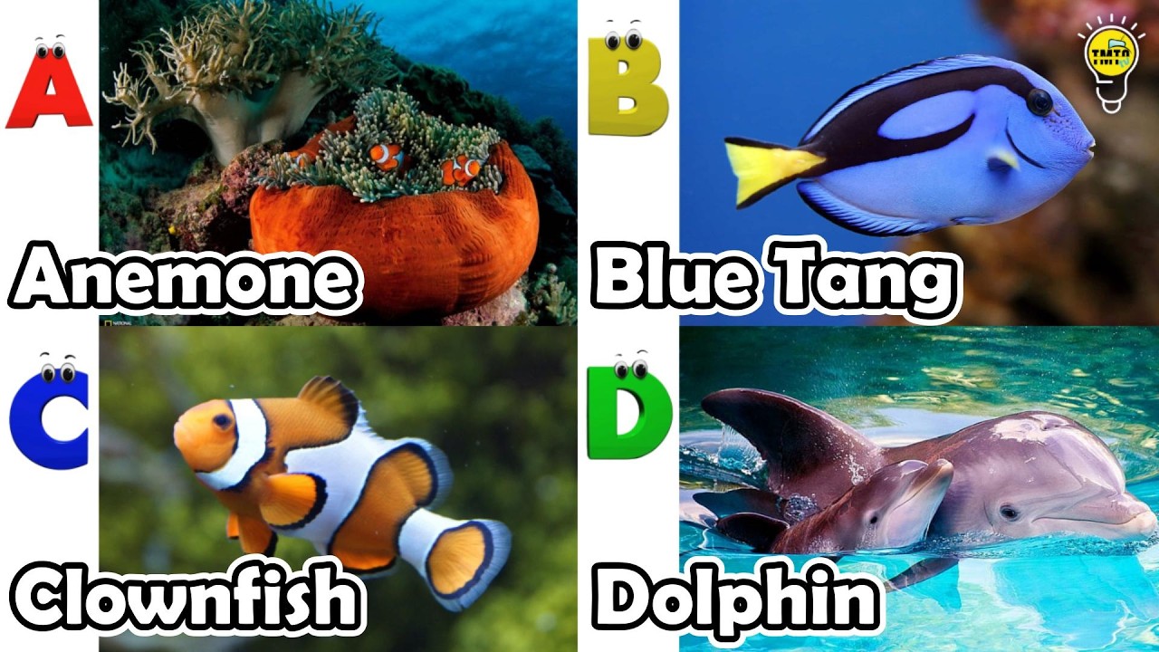 ABC phonics animals | ABC Sea Animals song | English and Animals for Kids #angelfishs