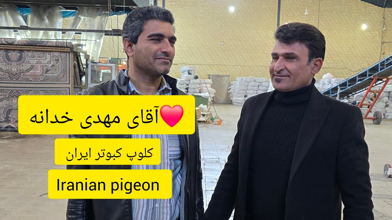 ❤️11 آذر 1403 کبوترا و مصاحبه با آقای مهدی خدانه از آران و بیدگل iranian high flyers pigeon