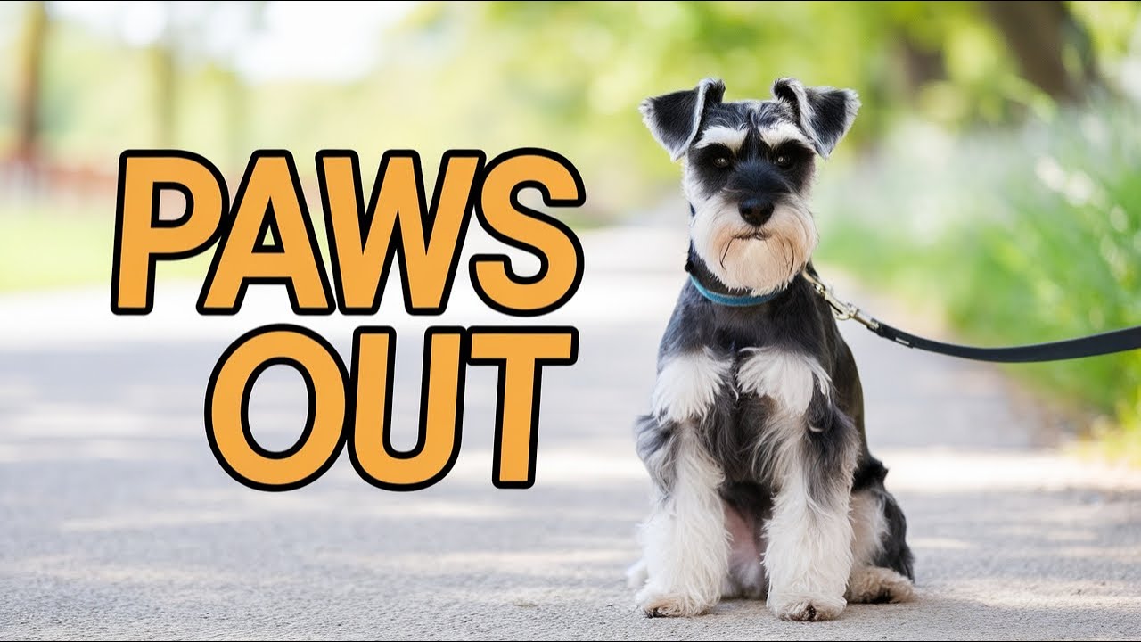 Lower Beeding walks and Drone footage