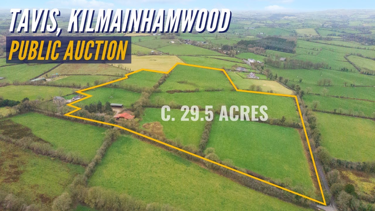 AUCTION OF C. 29.5 ACRES with House, Yard & Sheds!&mdash;Tavis, Kilmainhamwood, Co. Meath
