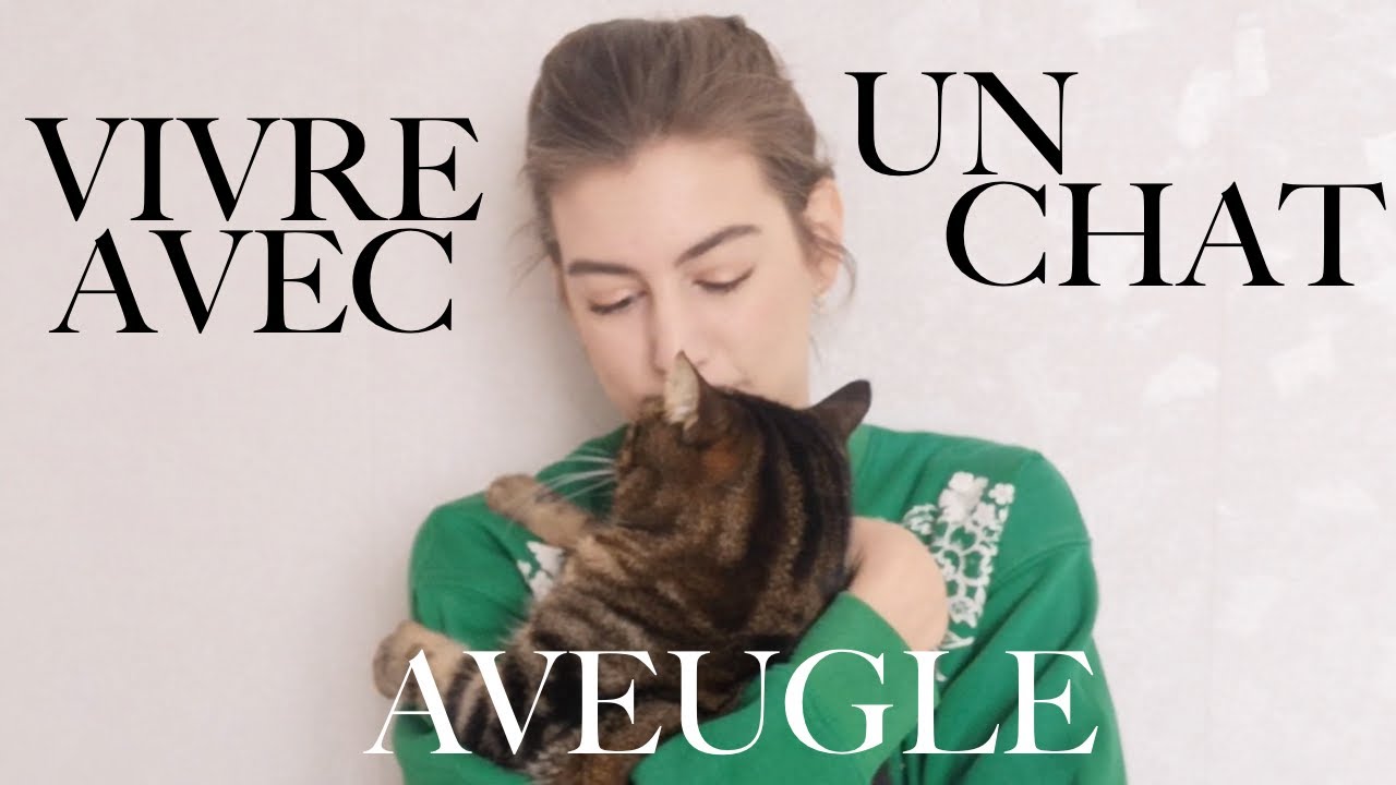 ADOPTER UN CHAT AVEUGLE EN REFUGE | MON EXPÉRIENCE