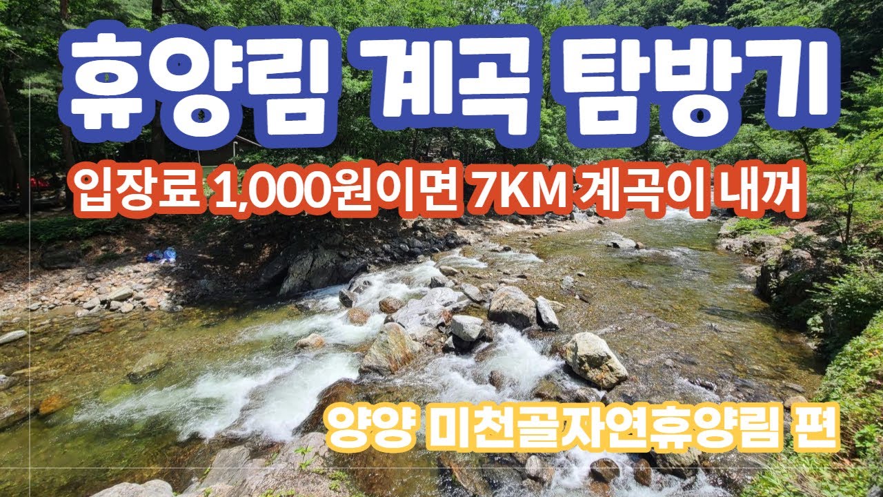 나만알고 있는 강원도 여름계곡 추천 | 휴양림 계곡 탐방기 | 미천골자연휴양림 | 강원도 계곡 |