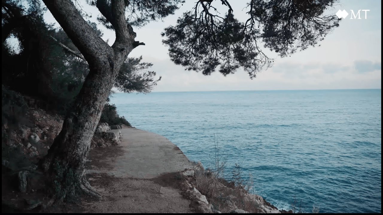 Coastal path: from Monaco to Roquebrune-Cap-Martin