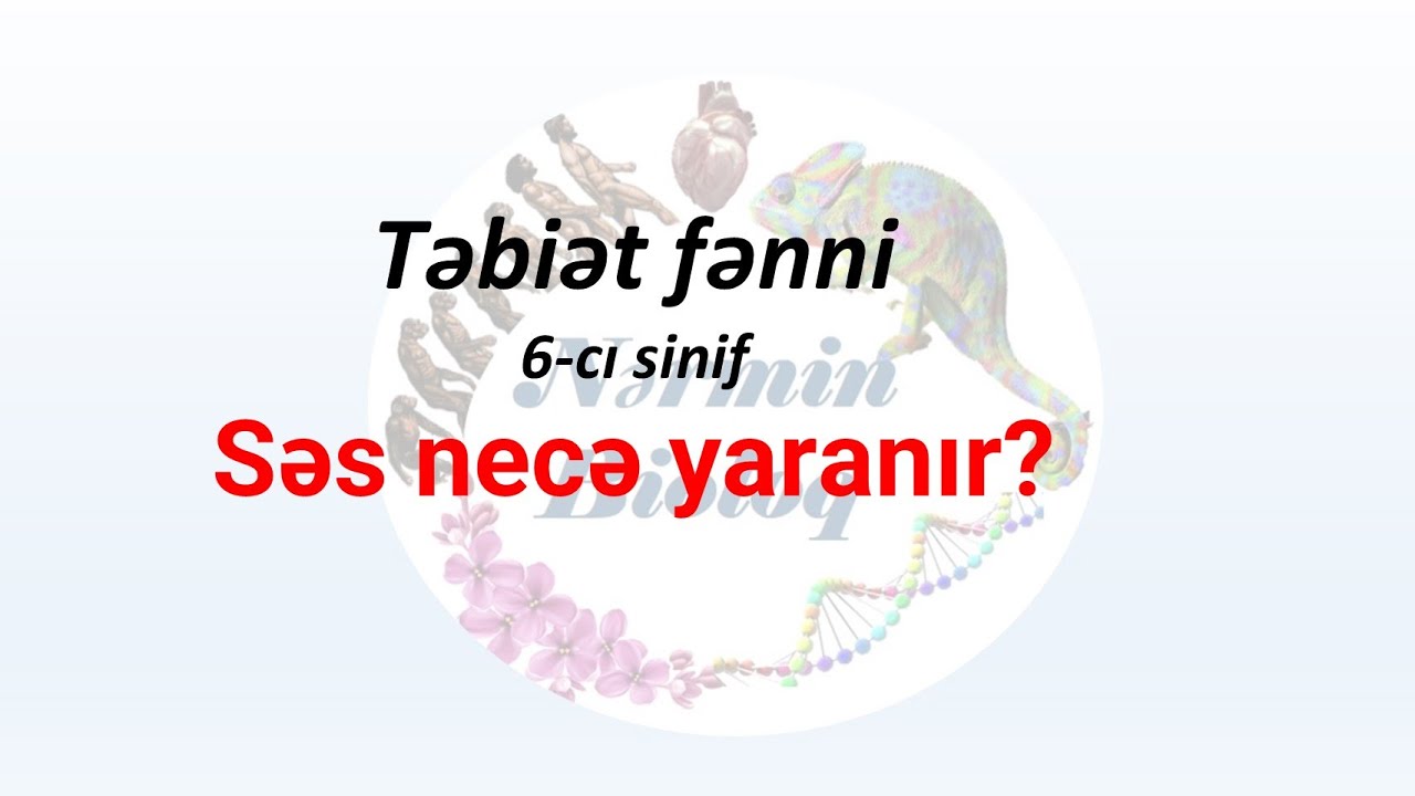 Təbiət fənni, 6-cı sinif. Səs necə yaranır?