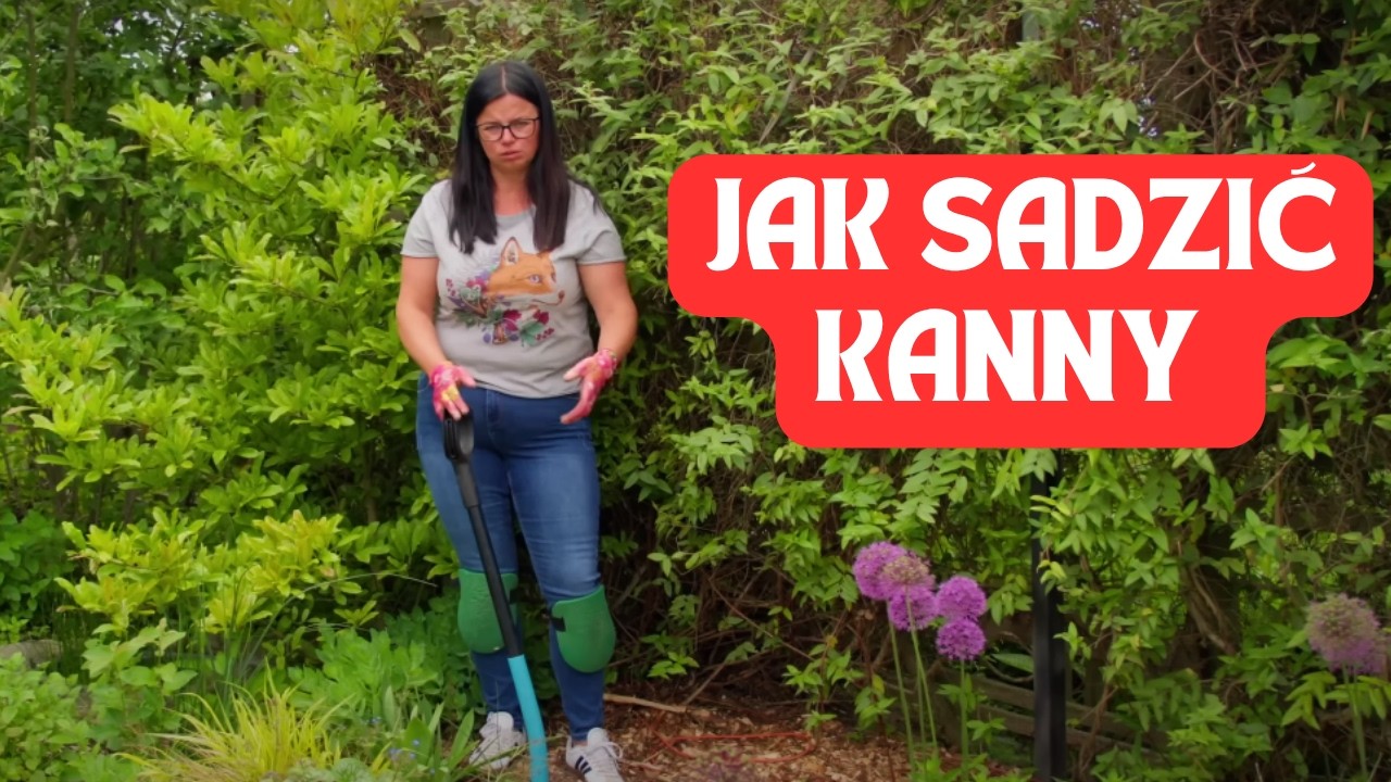 JAK SADZIĆ KANNY | Kasia in