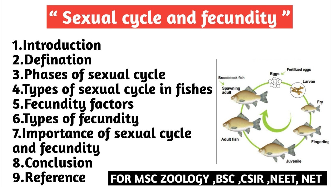 Sexual cycle and fecundity | Phase of sexual cycle | Types | Fecundity factors |Types | Importance