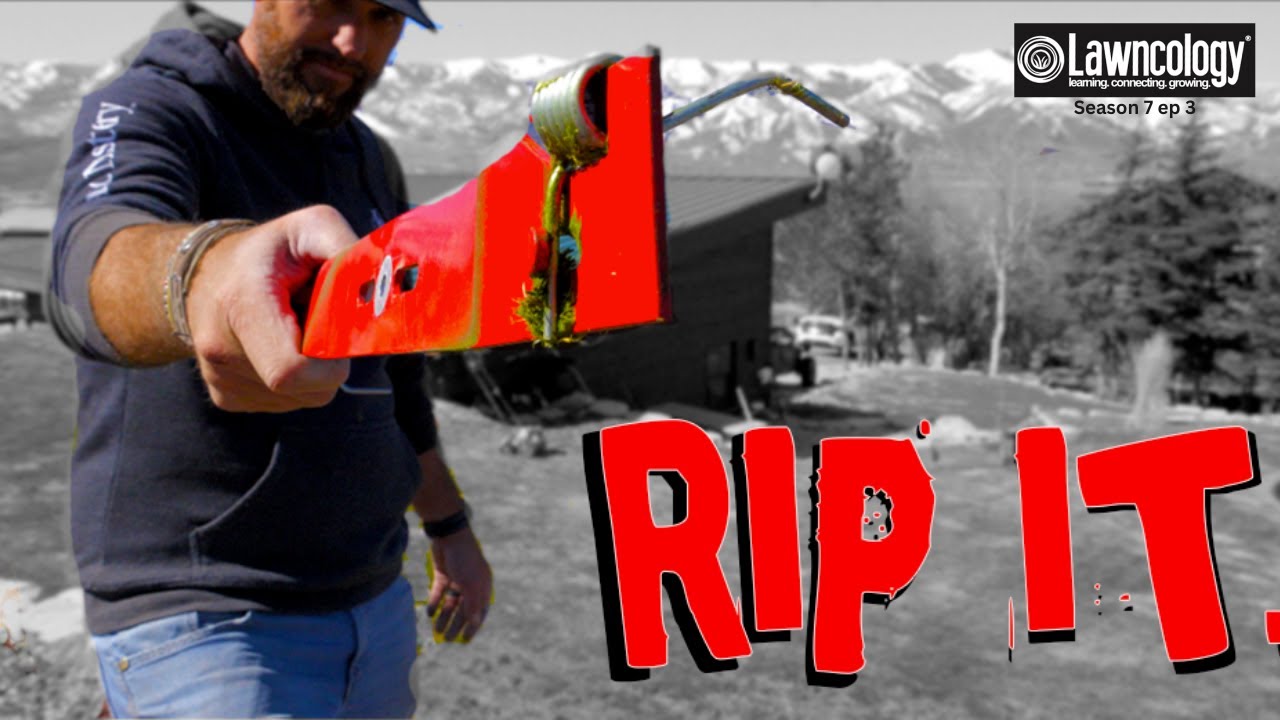 Unleashed: Complete Dethatching With A Lawn Mower Blade