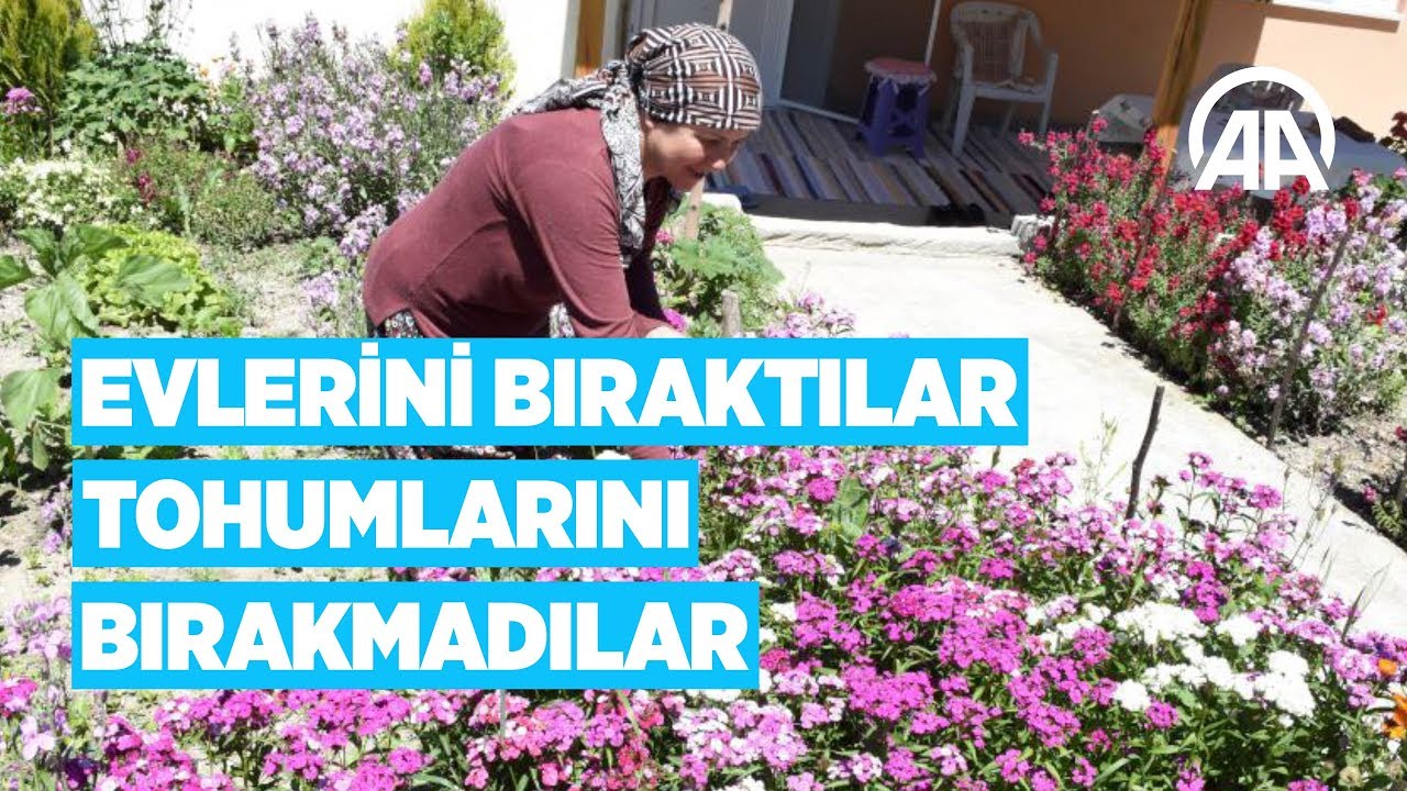 Evlerini bıraktılar tohumlarını bırakmadılar
