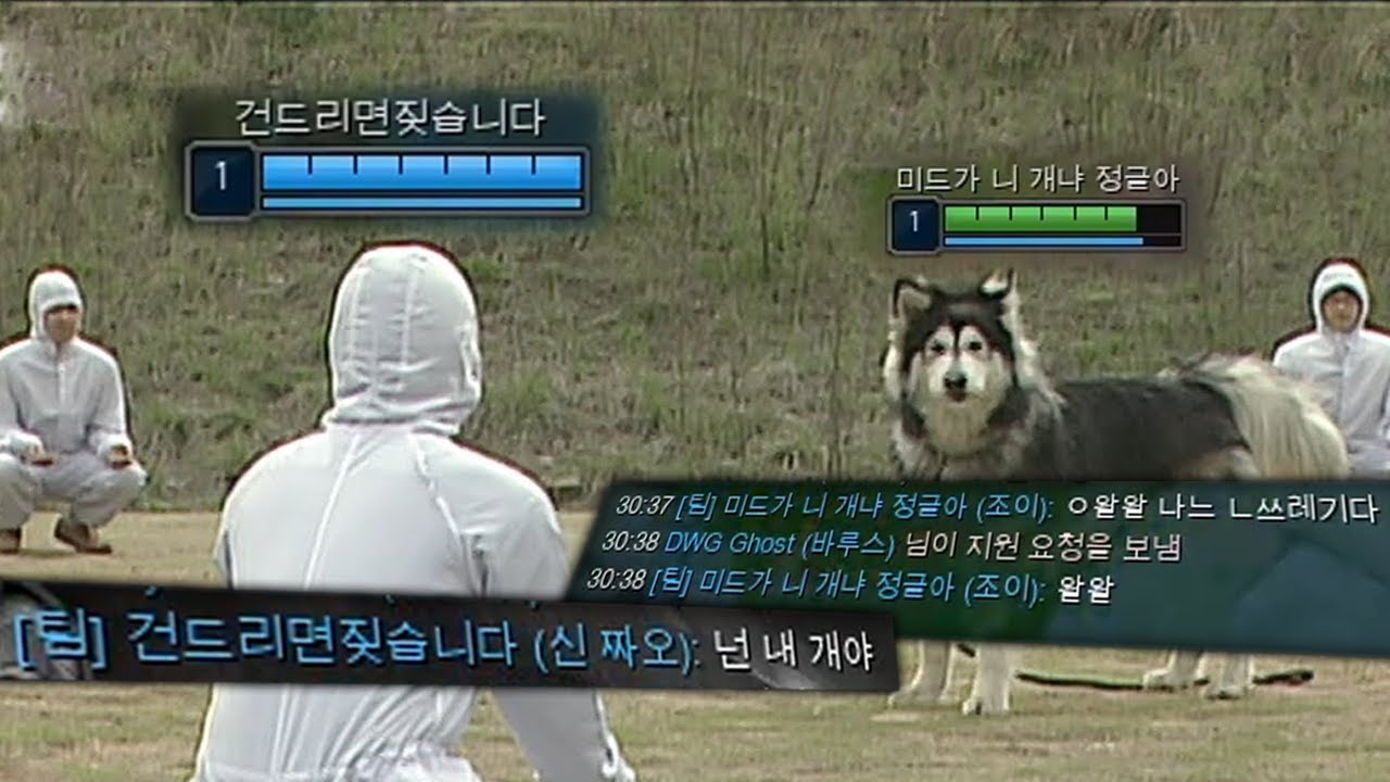 저는 정글의 개입니다 왈왈!
