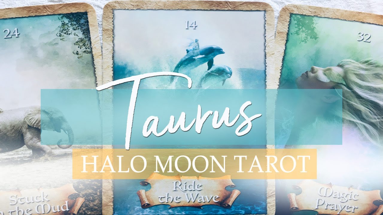 TAURUS - WANTING TO GET ON THE SAME PAGE