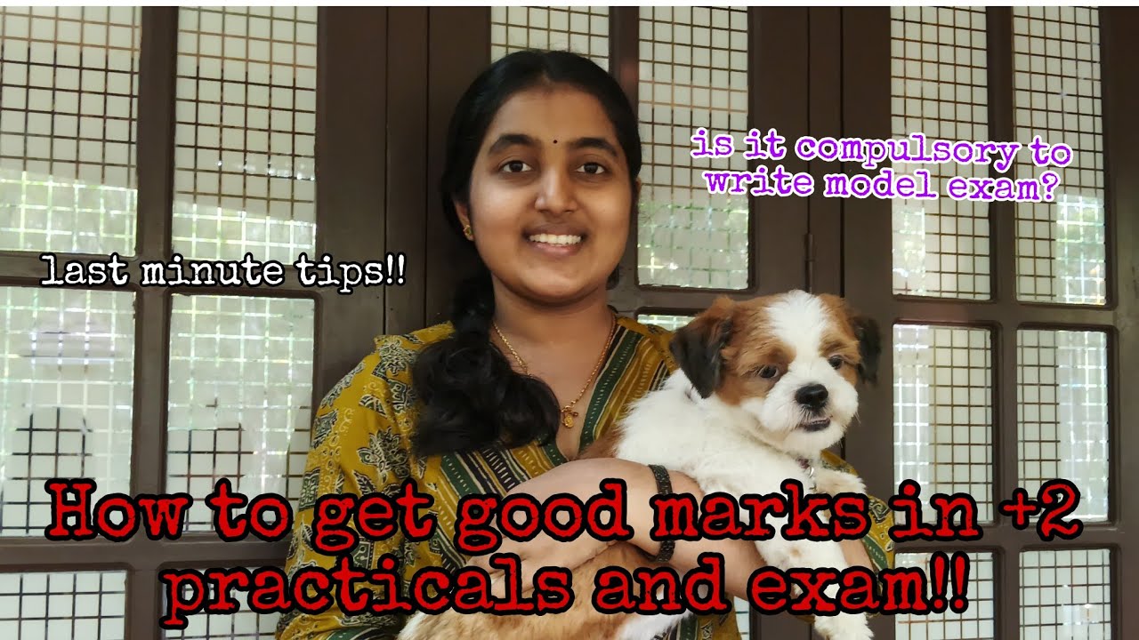 How i studied for my +2exam & practical👀✨ #studywithmusic #+2 #fyp #trending #viral #brilliantpala