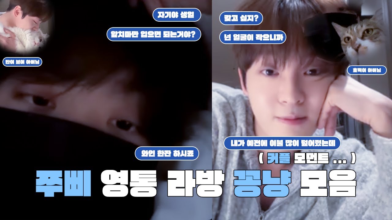 [ 차주완 / 이태빈 ] 250118 쭈삐 합방 영통 라이브 꽁냥 모음집 ZIP