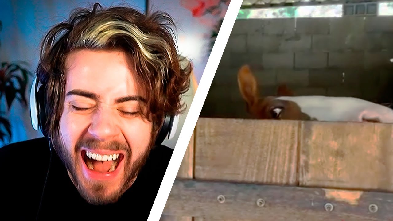 uns memezinhos do reddit pra melhorar seu dia