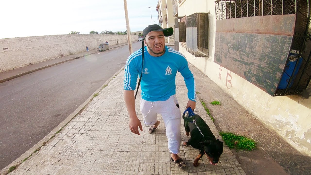 فاش كتكون مربي شي كلب أو كتبغي تعيق بيه