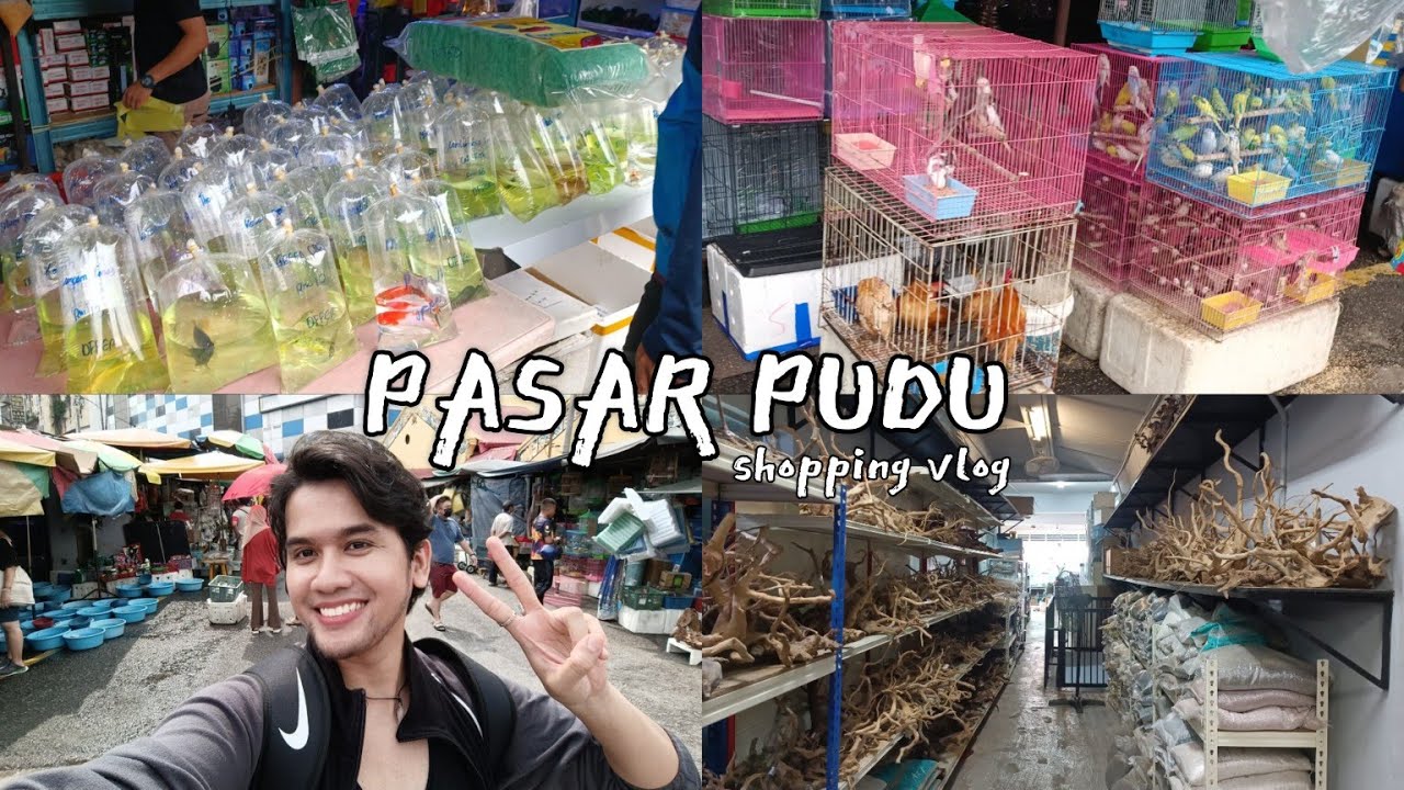 Vlog SHOPPING DI KEDAI² IKAN PASAR PUDU || RACUN ITU BENAR 🥹💸 !!!