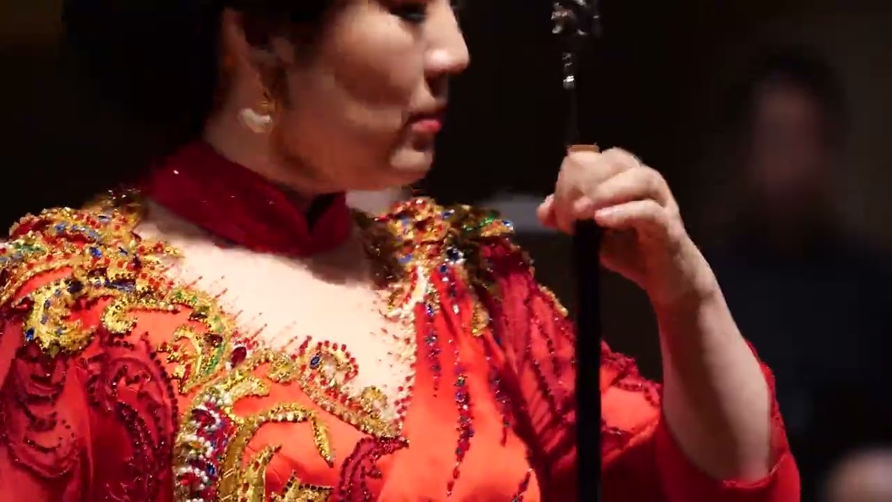 阳光照耀着塔什库尔干（二胡）- 宋飞 / The Sun Shines on Taxkorgan (Erhu) - Song Fei