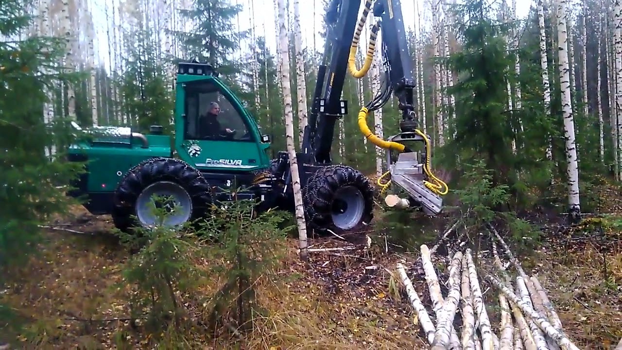 ProSilva 810