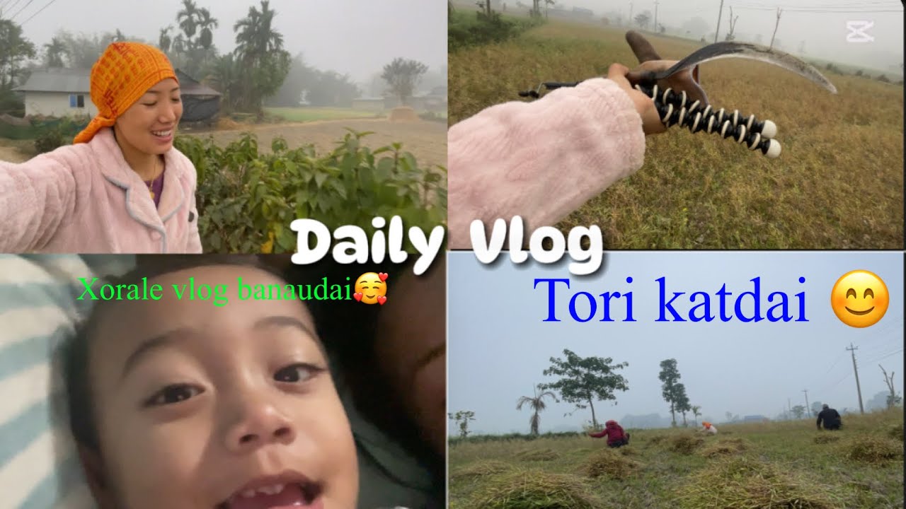 Aaja Tori  katdai 😊 ||