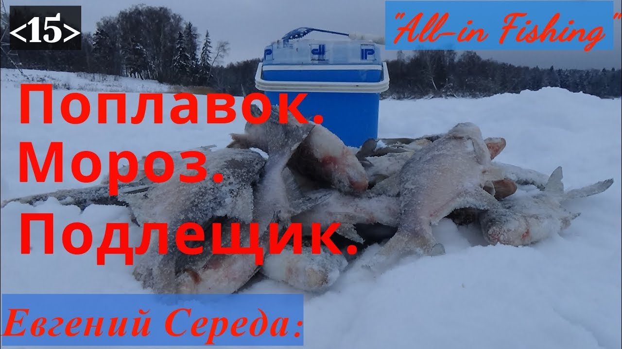 Поплавок. Мороз. Подлещик. 