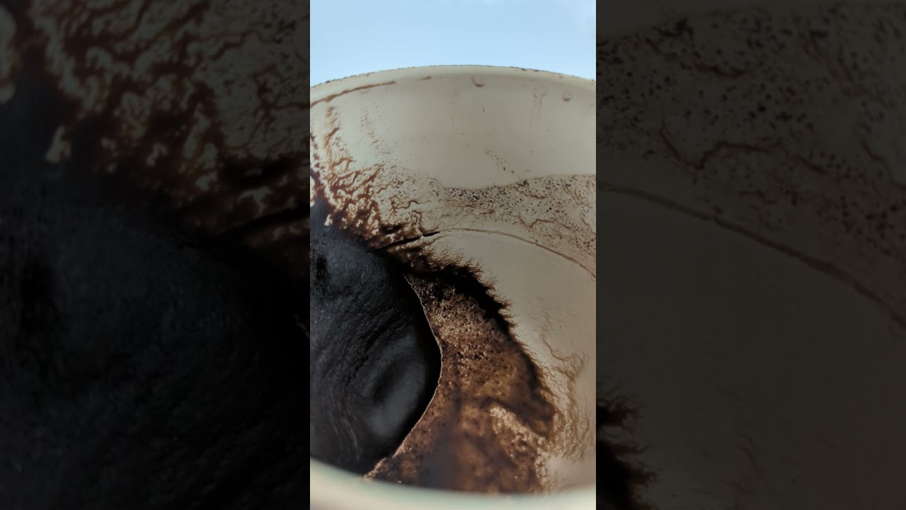 PISCES ♓ - WEEKLY COFFEE CUP READING ☕ - 11 TO 17 DECEMBER 2023