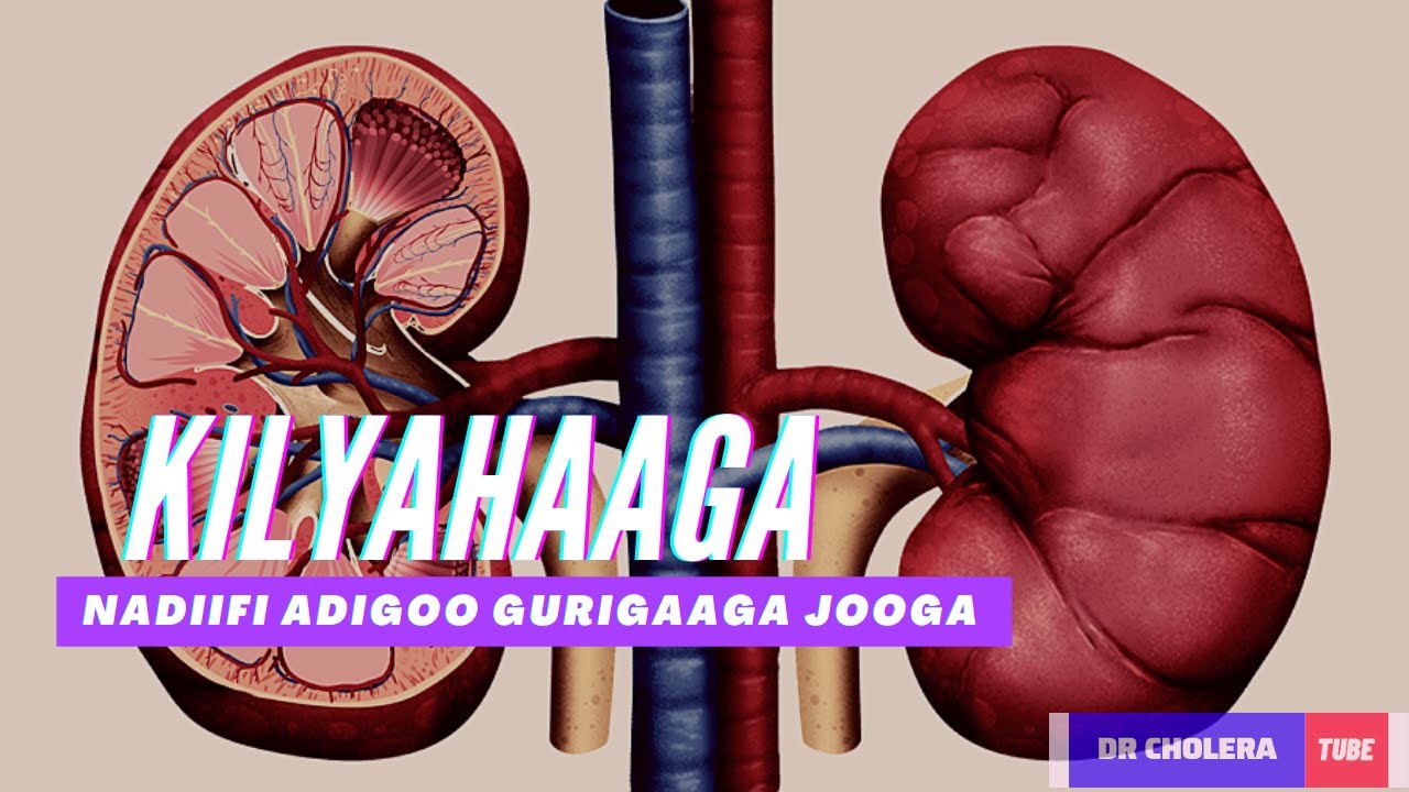 5 Siyaabo Fudud oo Lagu Nadiifiyo Kilyaha || Caafimaadka Kilyaha ||  Ka taxadr kilyahaaga ||| 2021