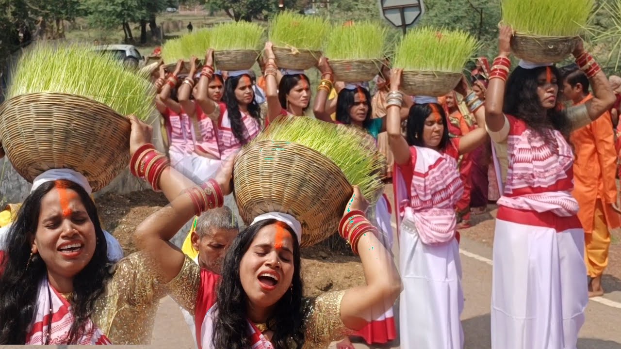 जोत जवारा विसर्जन | Jot jawara visarjan | चैत्र नवरात्रि | कवर्धा, बम्हनी | Sangwari TLM