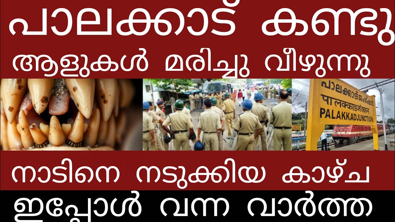 വൻ ദുരന്തം..നിലവിളിച്ചോടി ജനങ്ങൾ | Breakingnews | Keralapolice | 