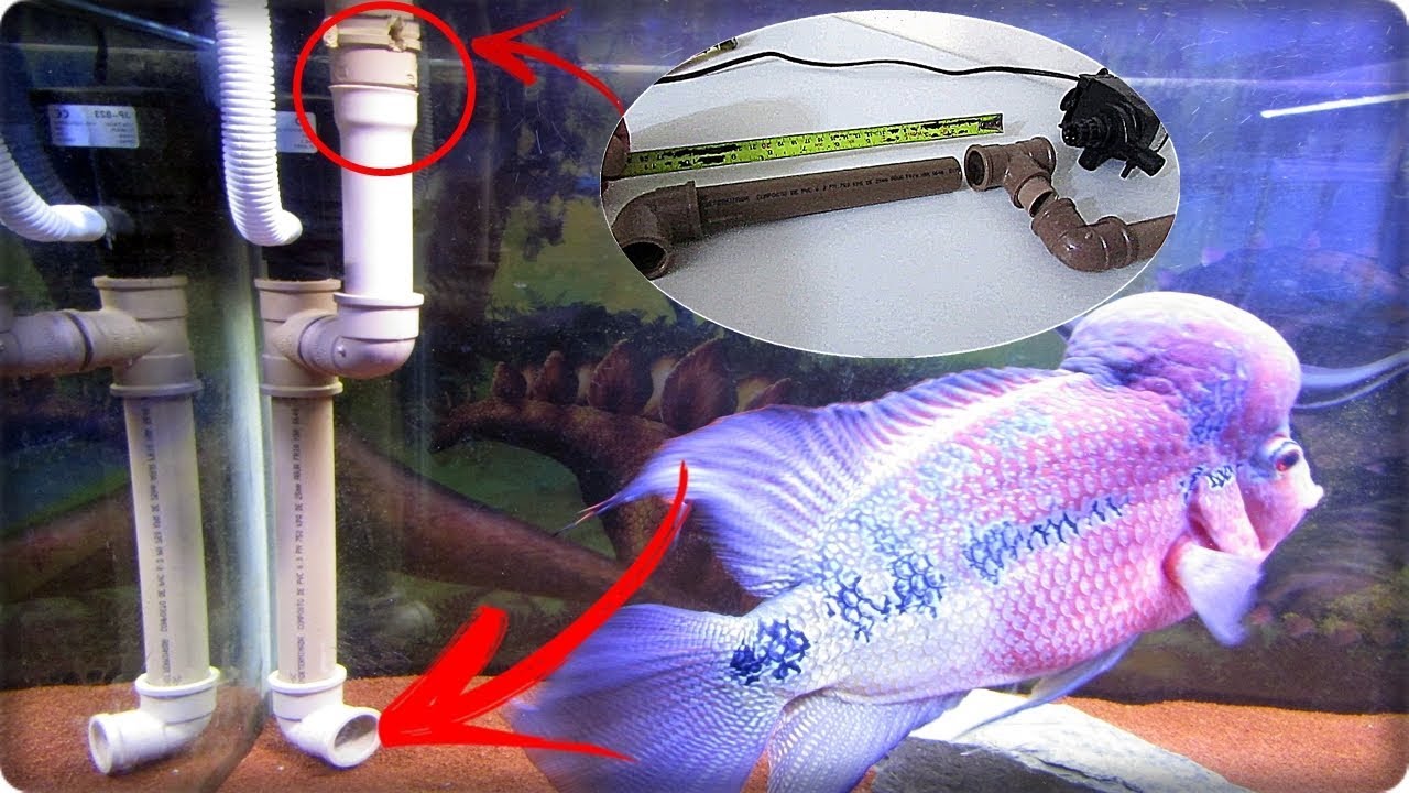 Adaptador filtro extrator ?! Faça você mesmo !!! (TOP)(AQUARISMO)