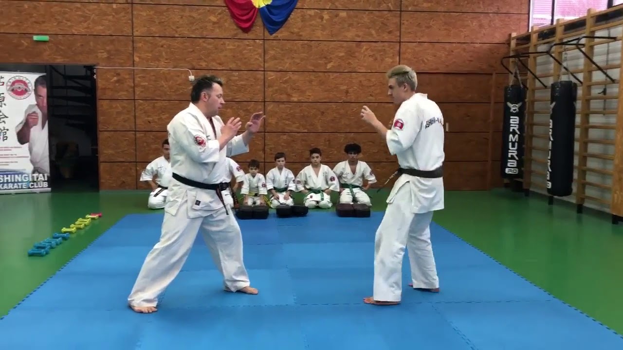 Ashihara Karate-Sensei Liviu tabacaru si 