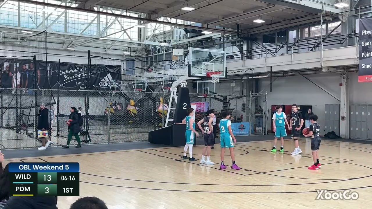 PDM U13 Gold vs Wildhawk Basketball Kitchener - 1st Quarter - February 21, 2026