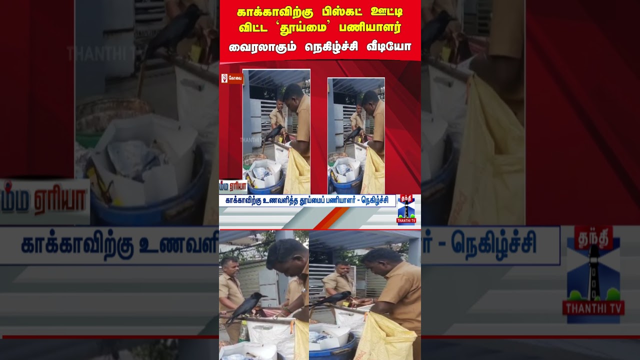 Sanitary Workers | Crow Food Feeding